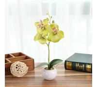 XQXQGX Un juego de plantas falsas de bonsái en maceta, flores artificiales de orquídea de mariposa para decoración del hogar y jardín, accesorios de arreglo floral, color verde
