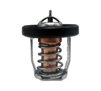 Xracingmoto 17670-94J01 Termostato 60° Compatible con Marine DF8A 9.9 15 | Se adapta a motores fueraborda 20 25 30A; También reemplaza 17670-94J00 17670-94J02.