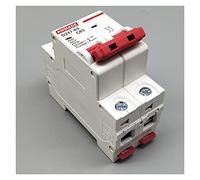 XRKJKQIDG Disyuntor AC220V-400V DZ47-63 2P 6A 10A 16A 20A 25A 32A 40A 50A 125A Mini disyuntor Interruptor de Corte Aire doméstico en Miniatura(6 Years)