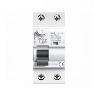 XRKJKQIDG Disyuntor Gyl9 AC Tipo RCCB de Corriente Residual electromagnética AC ELCB 2 Polos 5a 40a 63a 80A 100a RCD 3 0mA 100mA 300mA(300ma,2P 63A)