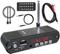 XRONG Receptor de audio Bluetooth, radio FM, amplificador de auriculares inalámbricos, tiempo de reproducción de 12 horas, audio de alta resolución, graves profundos, tarjeta SD USB, reproductor