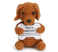XRVRILE Perro salchicha hecho a mano con tarjeta de energía, amuleto de la suerte, regalo de mutuo, regalo de motivación