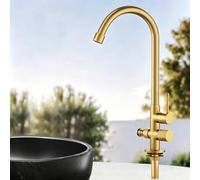 XSDSM Grifo Doble Salida Giratorio De 360° 1/2" Grifo Lavabo Exterior De Latón Solo Agua Fría con Un Solo Orificio,Antigüedad