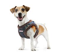 XT-Dog DA7670 Arnés Nordic para Perros, Azul, Talla S, 30-33x39-42 cm