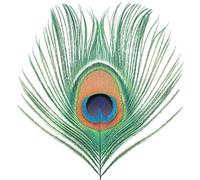Xtc - Apple Star Venus - Volumen I [Vinilo]