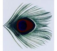 Xtc - Apple Venus Vol.1