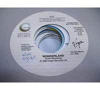 XTC - THE WOODENTOPS 45 RPM Give it Time / SAME