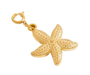 Xuancai Adornos de bikini de concha de estrellas de mar, ideales para entusiastas de la moda temática oceánica y trajes de baño hechos a mano, diseñadores, estilos de playa, talla única, como se