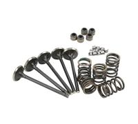 Xuanqingyi Store Compatible con YAM*AHA. Compatible con Griz*zly 660 YFM660. Kit de válvulas de admisión y escape para culata. Válvulas