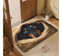 xueneige Alfombra 3D Felpudo Entrada Casa Velvet De Cristal 40 x 60cm Increíble Efecto 3D Suave Anti-Deslizante para Decoración Hogar Entrada Corredor Sala Felpudo Estilizado con Ilusión Óptica