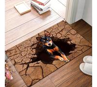 xueneige Alfombra 3D Felpudo Entrada Casa Velvet De Cristal 40 x 60cm Increíble Efecto 3D Suave Anti-Deslizante para Decoración Hogar Entrada Corredor Sala Felpudo Estilizado con Ilusión Óptica