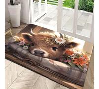 xueneige Alfombra Salon Felpudo Entrada Casa 3D Efecto Visual con Material Suave de Velvet de Cristal para Sala Entrada O Corredor 40 x 60cm Estilo Genial Antideslizante Ideal para Hogar