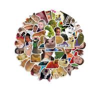 XUKZIMA 50 Pegatinas de Memes Divertidas, Impermeables y Adhesivas, Stickers Resistentes para Laptop, Botella y Cuaderno, Ideales para Personalizar Sin Dañar Superficies