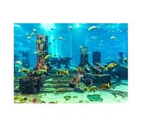 XUMKFJRE Fondo Acuario Fondo de Acuario Coral, Cartel Submarino, decoración Pared for pecera, Pegatina para Decoración(76x46cm)