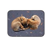 XUQEAYWD Toallitas Higiénicas para Perros,De Gran Absorbencia y Antideslizante - Absorción Extra Fuerte Almohadilla Lavable - para Perros Pequeños y Medianos, para IR al Baño, Parto, Cama, Suelos y