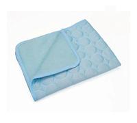 XUTCEKOUYR Ice Silk Cooling Pad for Dogs Summer Self Cooling Mat, Portable Kennel Bed, Non-Slip Breathable Pet Cool Pad Small Medium Cats(Light Blue,XS 40x30 cm)