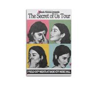 XUWSEWNE Póster de The Secret of Us Tour de estilo vintage, lienzo estético, póster de música y películas, pintura decorativa para sala de estar, dormitorio, 50 x 75 cm, estilo sin marco