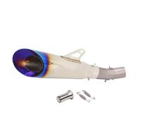 XUXRHMEAN Tubo De Escape Para Motocicleta Ducati Scrambler 800 2015-2020 Y Monster 797 2017-2020 Motocicleta Tubo Medio(F1)