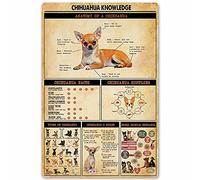 XVBCDFG Chihuahua Knowledge Metal Signs Anatomy Type Guide Posters Farm Wall Decor Home Decor Dog Lovers Club Printing Plate 12x16 Inch