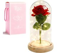 XVZ La Bella y la Bestia Rosa eterna - Regalo de flores para mujeres, rosa bajo campana de cristal con LED y soporte de madera para madre, esposa o amiga para Navidad, San Valentín o cumpleaños
