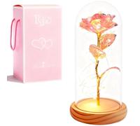 XVZ La Bella y la Bestia Rosa Eterna - Regalo de Flores para Mujeres, Rosa bajo Campana de Cristal con LED y Soporte de Madera para Madre, Esposa o Novia para Navidad, Día de San Valentín - Polvo