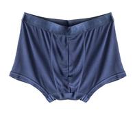 XWSM Calzoncillos Tipo Bóxer De Seda 100% Morera For Hombre Ropa Interior Pantalones Cortos De Cintura Media Calzoncillos Diarios Suaves Y Finos Sin Costuras (Color : Blue, Size : L/Large)