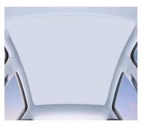 Xwthsch Parasol para Parabrisas Parasol para Techo corredizo Delantero y Trasero, Cortina para Xpeng G6 2024 2025 2026 Parasol Coche(C)