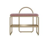 XXAD553TY Banco de Zapatos, Banco Almacenamiento, Bancos, Zapatero Estable con Asiento Acolchado, Estante for for Entrada, Sala Estar Banco Zapatero(Pink,80cm)