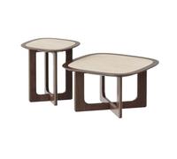 XXAD553TY Juego de Mesa Centro 2 Piezas, mesas salón Modernas Forma Irregular, par coordinado Mesa Auxiliar