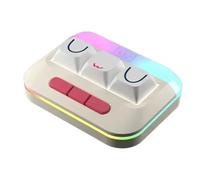 XXINGYULI Teclado magnético para Juegos con diseño de Intercambio en Caliente de Tres Teclas, Teclado mecánico Compatible, Accesorio para PC(The RGB UWU)