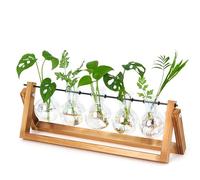 XXXFLOWER Estación de propagación de escritorio jarrón de vidrio con soporte de madera, maceta de vidrio y soporte giratorio de metal para decoración de interiores, hogar, jardín, boda (5 bombillas)