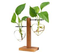 XXXFLOWER Soporte de madera para macetas, estación de propagación de terrario de plantas, maceta hidropónica de escritorio, jarrón de vidrio para decoración del hogar, jardín, oficina, regalos para