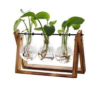 XXXFLOWER Terrario para Plantas con Soporte de Madera, Maceta de Aire, jarrón de Cristal, Soporte Giratorio de Metal, Mesa Retro para hidroponía, decoración del hogar, jardín, Oficina, jarrón de 3