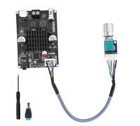XY-1001W Módulo amplificador Bluetooth, TWS DC 9 - 24 V 100 W Mono Audio Amplificador Placa con AUX USB Bluetooth Platine, con Potenciómetro Externo para Altavoces, DIY Cine en Casa, Hogares Escuelas