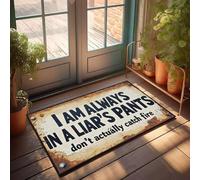 XYBH Divertidas alfombras de baño con texto en inglés "I Am Always In A Liar'S Pants. Don'T Actually Catch Fire. Felpudo Emo Decoración de Habitación para Dormitorio (40 x 60 cm)