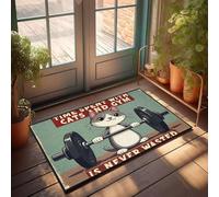 XYBH Tapete para zapatos por puerta, el tiempo pasado con gatos y gimnasio nunca se desperdicia. Felpudo para decoración de piscina, tapete de bienvenida al aire libre para el aula (50 x 80 cm)