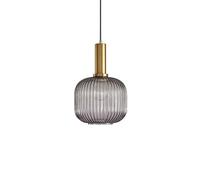 XYBZJP Portalámparas de metal Pantalla de vidrio, Accesorios de iluminación de estilo simple japonés, Lámpara colgante de cabeza única con tornillo E27, Lámpara colgante de montaje empotrado para sala