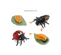 XYC Animal Growth Cycle Biological Model , Growth Stage Lifelike Ladybug Life Cycle Model Set for Kids Education Insect Themed Party Favors