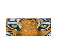 Xyntor Secure Grip Floor Mat | High - Density Soft Flannel for Kitchen/Living Room/Bedroom | Absorbent Doormat with Stitched Edges, Machine Washable Rug Decor (60 * 180CM)