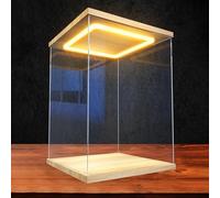 Xyrona Urna Metacrilato Cajas Altas de Acrílico con Luz LED, Vitrina para Objetos de Colección de 15, 20, 25, 30, 35, 40, 50 y 60cm, Cubos de Plástico con Puerta(L15xW15xH30cm/6x6x12)
