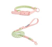 XYRTHSKO Compatible con Collar Reflectante for Perro, Juego de Correa PVC, Nailon, for Mascotas, cómodo, Duradero, Colores Moda(Pink Set,M Neck 39-50cm)