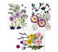 XYTAHDM 36 Flores Secas Naturales, Prensadas para Resina Epoxi, Accesorios Decoración para Velas Jabón Resina Joyería