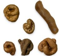 XYTAHDM Caca De Broma, 6 Piezas Caca De Juguete Mierdas De Broma Mojon De Broma Mierda Caca De Broma Realista, para El Día De Los Inocentes De Halloween