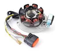 XYUOIS Motocicleta Magneto Estator Bobina Compatible con GasGas para Ec200 para Ec250 para Ec300 2005 2006 2007 2008; para Ec125 2005 2006; Bobina De Estator De Motocicleta OEM: ME250534005