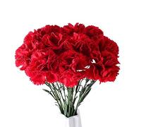 XZJMY Claveles de seda, flores artificiales, flores de seda con un tallo de 55 cm de largo, arreglos florales artificiales, decoración para bodas, decoración de mesa, para el hogar, oficina