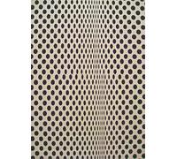 XZSFD NBGEA Famosa Bridget Riley Póster Impresiones en Color Arte Abstracto de la Pared Pictrure《Metamorfosis》Bridget Riley Pintura en Lienzo Para Decoración Del Hogar 50x80cm Sin Marco