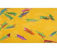 XZSFD NBGEA Famoso póster de Walasse Ting Ilustración abstracta en la pared《Enjambre de langostas》por Walasse Ting Grabados Pintura en lienzo a color para decoración del hogar 80x50cm sin enmarcar