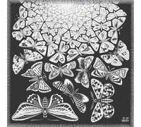 XZSFD NBGEA M.C Escher Poster Vision Space Abstract Wall Art 《Simetría e Infinito》 por M.C Escher Grabados Pintura en lienzo a color para decoración del hogar 40x40cm Sin enmarcar
