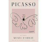 XZSFD NBGEA Pablo Picasso Animal Poster Abstract Line Prints Color Wall Art Picture《La Mariposa》Pablo Picasso Cuadro en Lienzo Para Decoración del Hogar 40x60cm Sin Marco