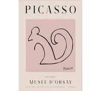 XZSFD NBGEA Pablo Picasso Animal Poster Abstract Line Prints Color Wall Art Picture《The Souirrel》Pablo Picasso Cuadro en Lienzo Para Decoración del Hogar 40x60cm Sin Marco